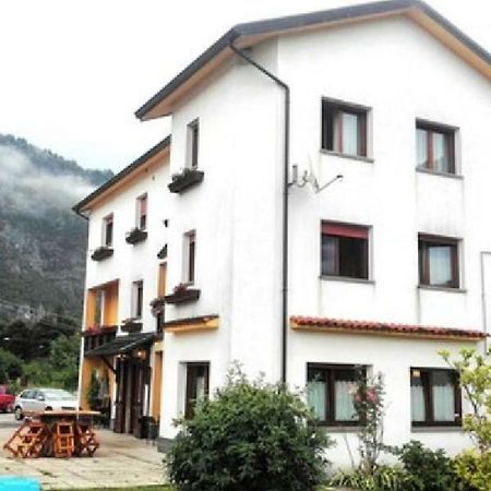 Albergo Alla Pineta Villa Santina Экстерьер фото