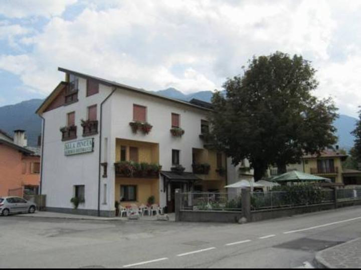 Albergo Alla Pineta Villa Santina Экстерьер фото